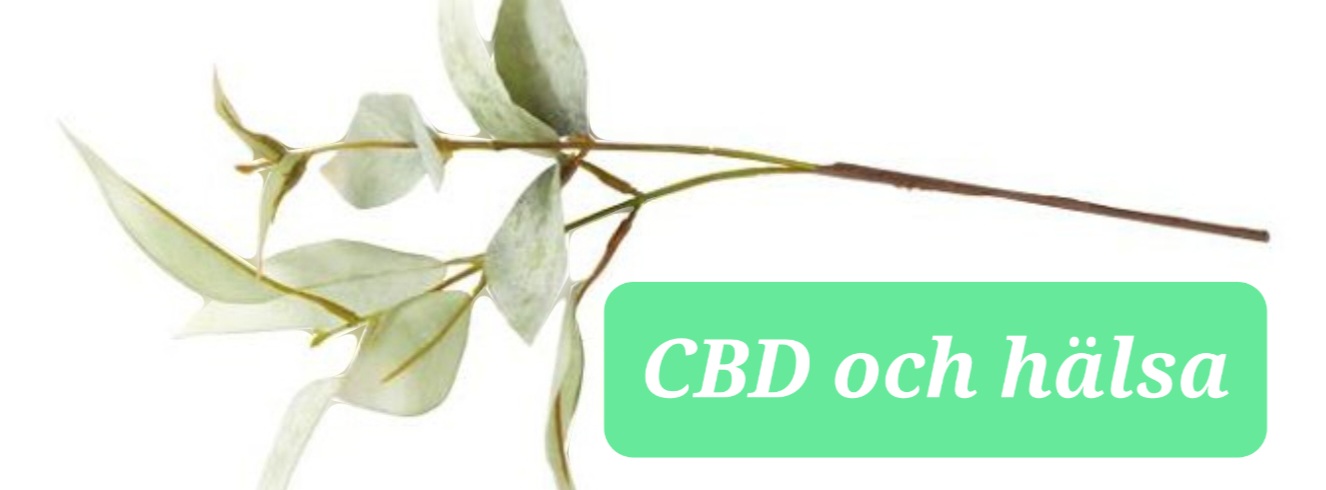 Kan man dricka CBD olja eller använda den i dryck?